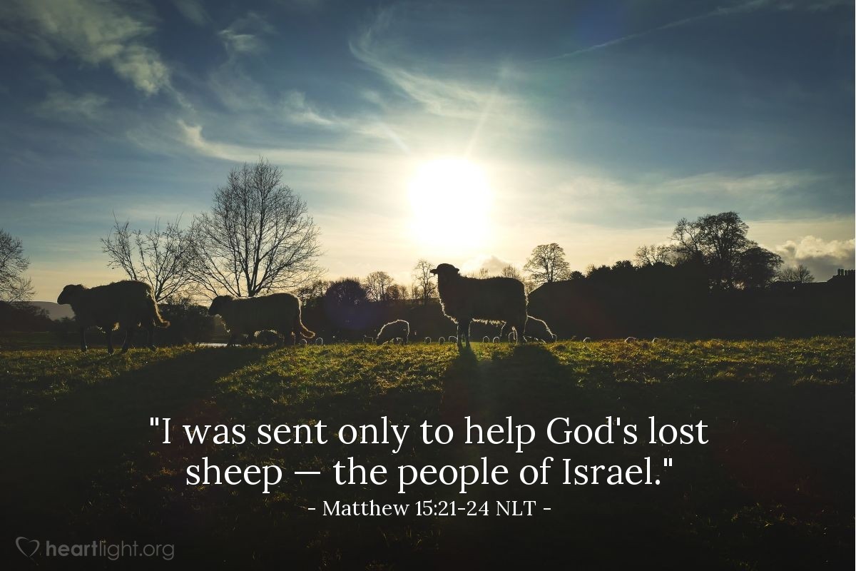 Illustration of Matthew 15:21-24 NLT — "I was sent only to help God's lost sheep — the people of Israel."