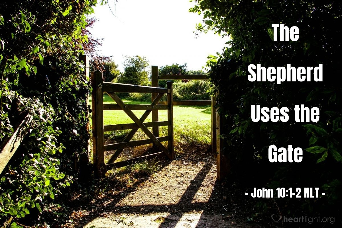 Illustration of John 10:1-2 NLT — "I tell you the truth, anyone who sneaks over the wall of a sheepfold, rather than going through the gate, must surely be a thief and a robber!"