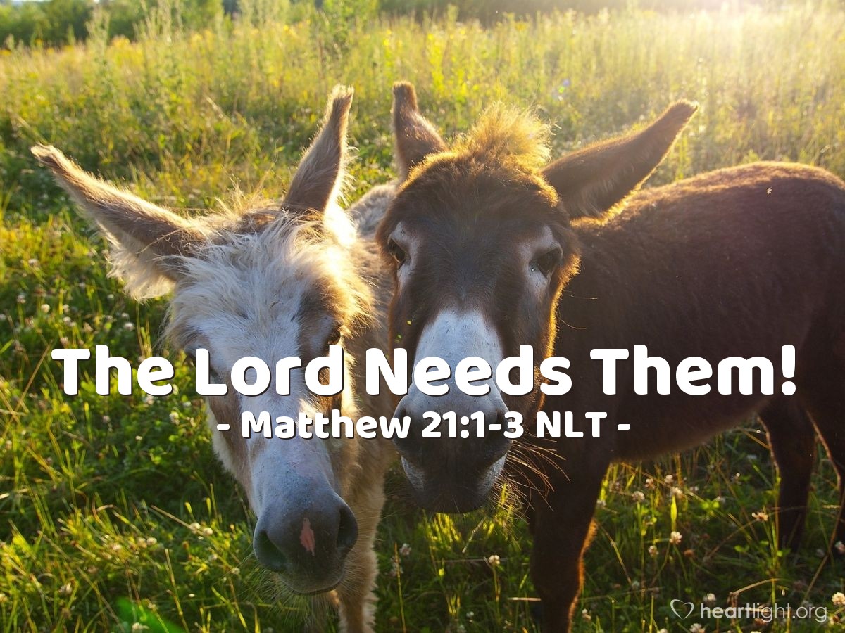 Illustration of Matthew 21:1-3 NLT — "Go into the village over there,"