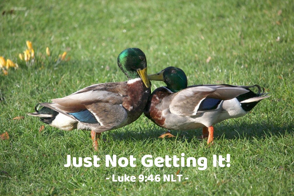 Illustration of Luke 9:46 NLT — Then [Jesus'] disciples began arguing about which of them was the greatest.