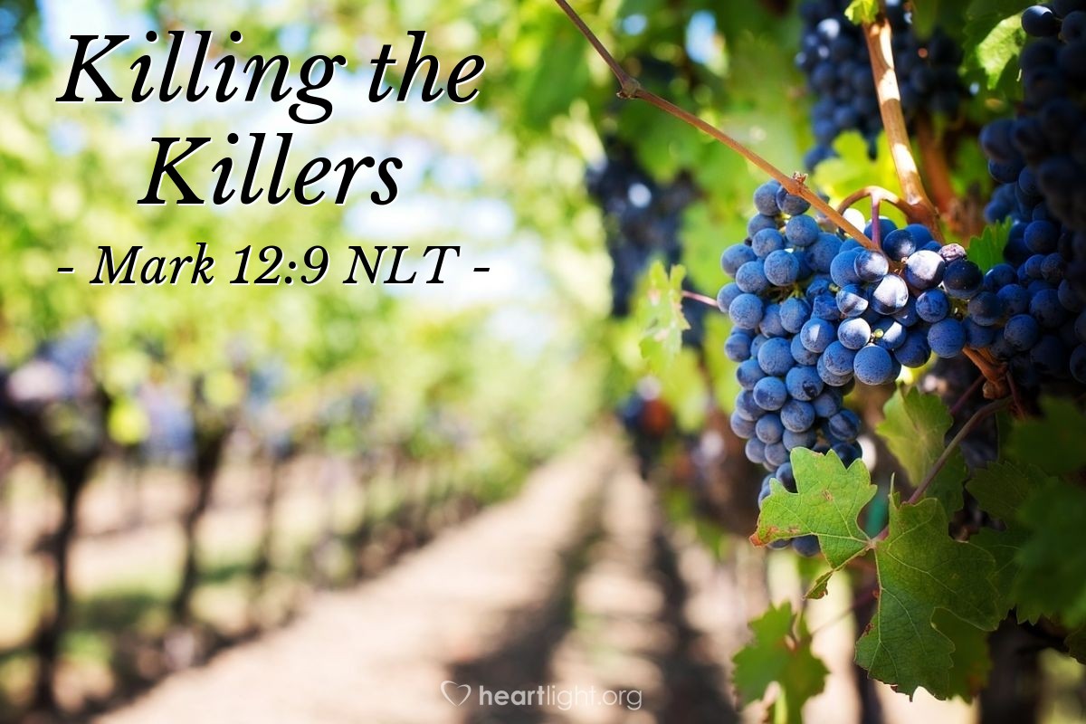 Illustration of Mark 12:9 NLT — "What do you suppose the owner of the vineyard will do [after the tenant farmers killed his son]?"   ——   "I'll tell you — he will come and kill those farmers and lease the vineyard to others."