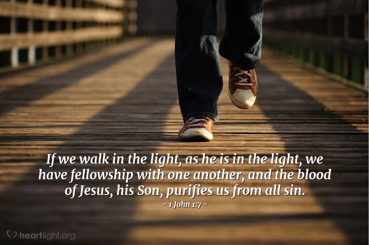 Illustration of 1 John 1:7 — If we walk in the light, as he is in the light, we have fellowship with one another, and the blood of Jesus, his Son, purifies us from all sin.