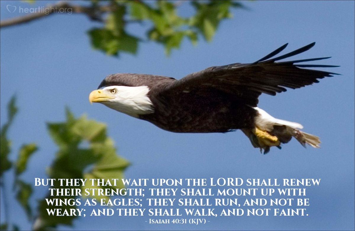Illustration of Isaiah 40:31 (KJV) — But they that wait upon the LORD shall renew their strength; they shall mount up with wings as eagles; they shall run, and not be weary; and they shall walk, and not faint.