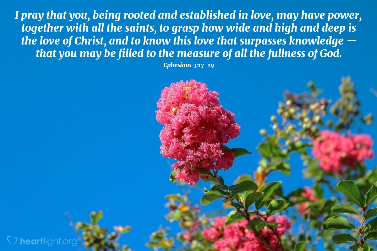 Ephesians 3:17-19 | I pray that you, being rooted and established in love, may have power, together with all the saints, to grasp how wide and high and deep is the love of Christ, and to know this love that surpasses knowledge - that you may be filled to the measure of all the fullness of God.