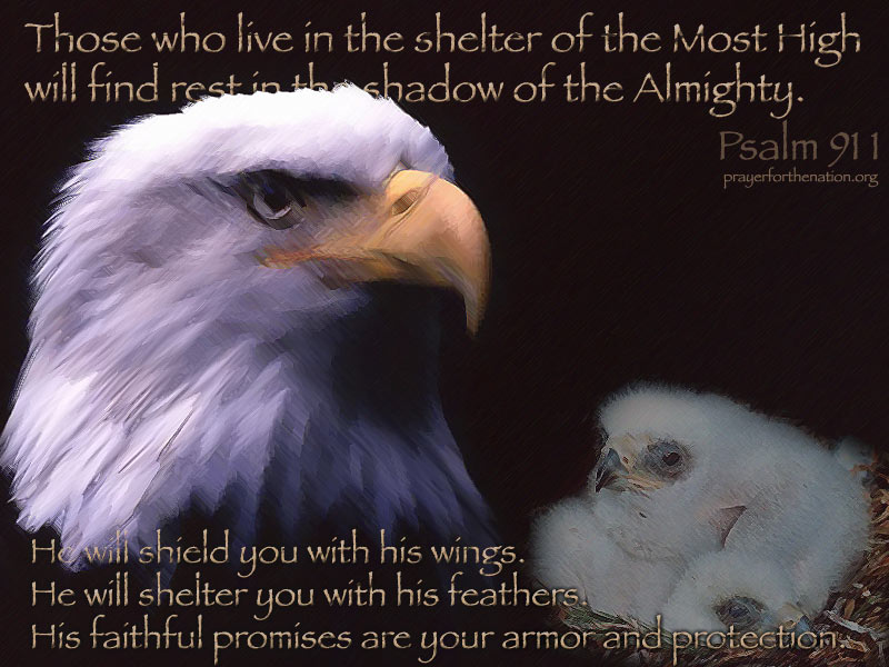 "In the Shadow of His Wings" — PowerPoint Background of Psalm 91:1-4